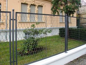 foto-21
